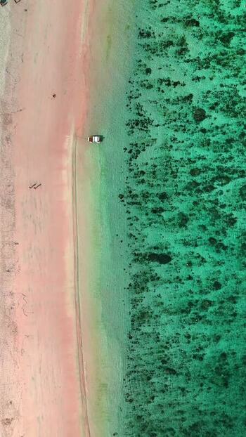 Aerial view of the pink sand beach and coral reefs Indonesia. Aerial view of the pink sand beach and coral reefs Indonesia.