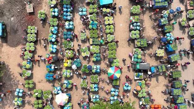Aerial view of a busy mango market Bangladesh.