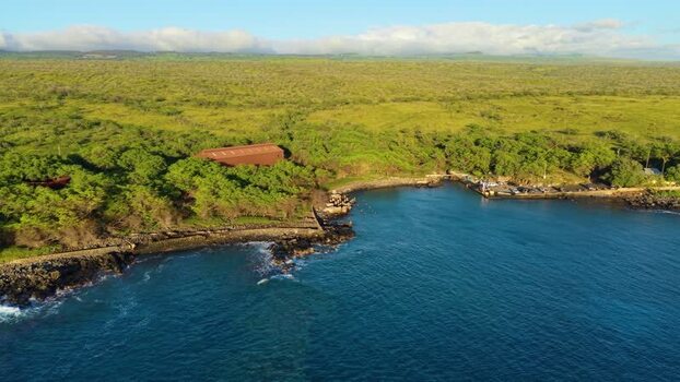 Aerial view of Mahukona Beach Park and the lush coastline United States.