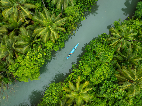 Aerial view of a blue canoe carrying people navigating the lush Coconut river surrounded by dense palm trees and tropical jungle in Siargao Philippines. Aerial view of a blue canoe carrying people navigating the lush Coconut river surrounded by dense palm trees and tropical jungle in Siargao Philippines.