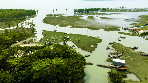 Aerial view of small wooden boats moored in the tidal wetlands and lush green mangrove forests of Patharghata Barisal Division Bangladesh. Aerial view of small wooden boats moored in the tidal wetlands and lush green mangrove forests of Patharghata Barisal Division Bangladesh.