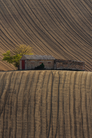 View of a small stone building nestled in a vast plowed field with distinct furrows and a lone tree in Corridonia Marche Italy. View of a small stone building nestled in a vast plowed field with distinct furrows and a lone tree in Corridonia Marche Italy.