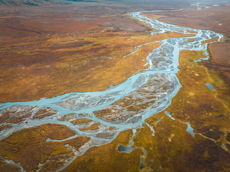 Aerial view of a braided river winding through the vibrant autumn tundra landscape near the Dalton Highway in Coldfoot Alaska United States.