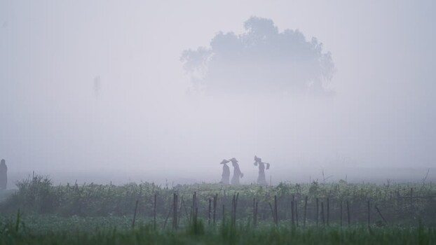 View of farmers walking through a misty field Bangladesh. View of farmers walking through a misty field Bangladesh.