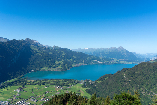 View of Harder Kulm overlooking the turquoise waters of Lake Thun surrounded by lush green valleys and the Swiss Alps in Unterseen Canton of Bern Switzerland.