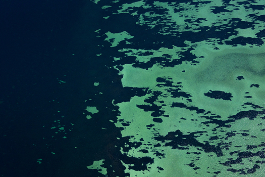 Aerial view of the intricate turquoise and deep blue ocean patterns of the shallow waters in the Shire of Shark Bay Western Australia Australia. Aerial view of the intricate turquoise and deep blue ocean patterns of the shallow waters in the Shire of Shark Bay Western Australia Australia.