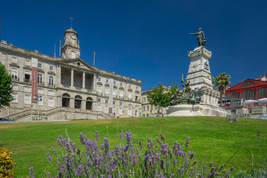 Porto Portugal 13 July 2021 View of the Câmara Municipal do Porto and Monument to Pedro IV under a bright blue sky framed by vibrant purple lavender. Porto Portugal 13 July 2021 View of the Câmara Municipal do Porto and Monument to Pedro IV under a bright blue sky framed by vibrant purple lavender.