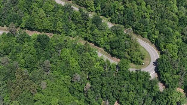 Aerial view of a winding road through dense green forest France.