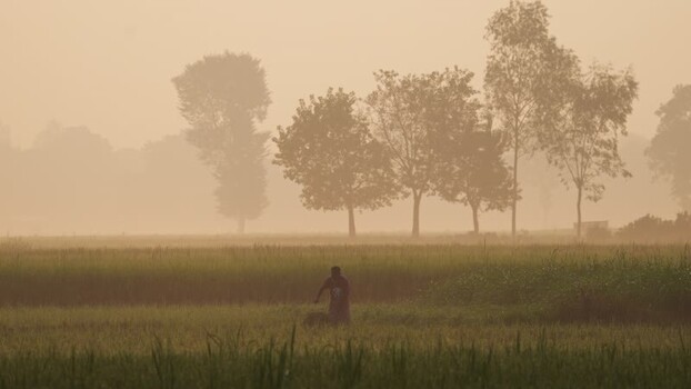 View of a farmer working in a misty field in Bogura Bangladesh.