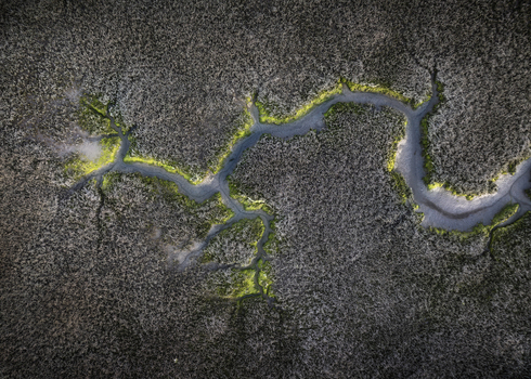 Aerial view of a winding river channel through textured marshland with bright green mossy edges in County Dublin Ireland.
