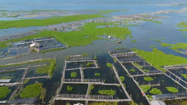 Aerial view of Lake Rawa Pening fish farms in Indonesia.