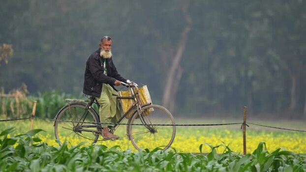 View of an elderly man riding a bicycle through rural fields Bangladesh.