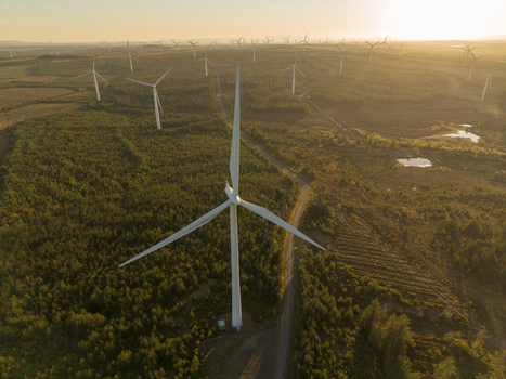 Aerial view of Eaglesham moor wind farm with numerous turbines standing among dense evergreen forests and rolling hills during a golden sunset Kilmarnock Scotland United Kingdom.