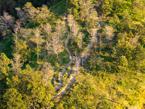 Aerial view of a person riding a motorcycle along a winding dirt path through a lush forest with tall trees illuminated by golden hour sunlight in Kemalang Central Java Indonesia. Aerial view of a person riding a motorcycle along a winding dirt path through a lush forest with tall trees illuminated by golden hour sunlight in Kemalang Central Java Indonesia.