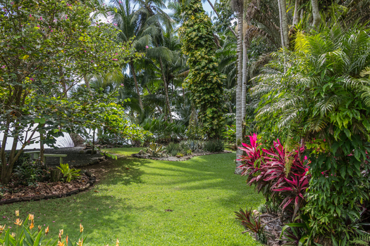View of a lush tropical garden with vibrant foliage palm trees and colorful plants in Costa Rica.