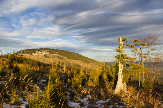 View of a sun kissed mountain peak rising above a forest with a dusting of snow under a wispy sky Schöckl Styria Austria. View of a sun kissed mountain peak rising above a forest with a dusting of snow under a wispy sky Schöckl Styria Austria.
