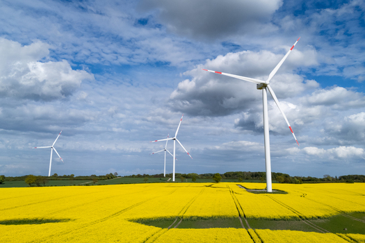 Aerial view of wind turbines standing in a vibrant yellow rapeseed field under a cloudy blue sky in Dollerup Schleswig Holstein Germany.