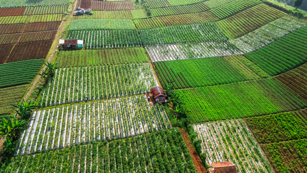 Aerial view of vibrant terraced agricultural fields with green crop rows and small farm huts in Sukabumi West Java Indonesia. Aerial view of vibrant terraced agricultural fields with green crop rows and small farm huts in Sukabumi West Java Indonesia.