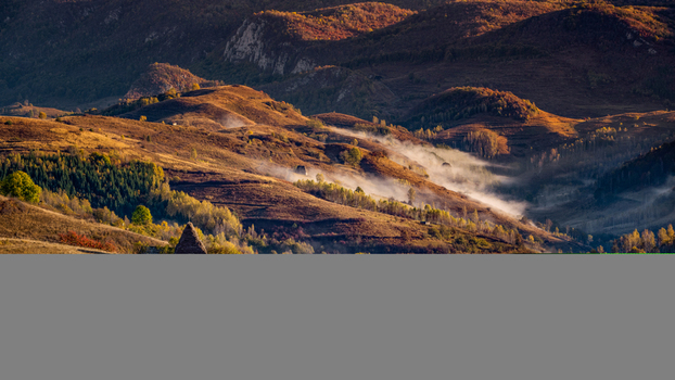 View of rolling hills covered in autumn foliage with morning mist settling in the valleys under warm golden hour light in Brasov Brasov Romania.