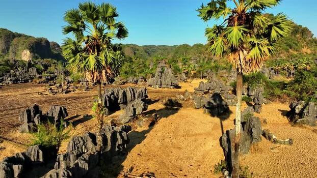 Aerial view of karst limestone formations and palm trees Indonesia. Aerial view of karst limestone formations and palm trees Indonesia.