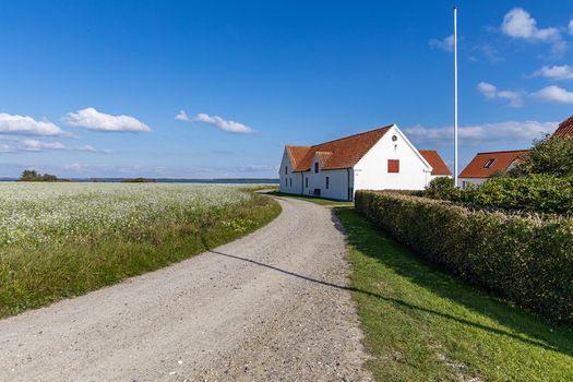 View of a white farmhouse with a red tiled roof situated along a gravel road next to a blooming field on the island of Hjarno Hedensted Denmark. View of a white farmhouse with a red tiled roof situated along a gravel road next to a blooming field on the island of Hjarno Hedensted Denmark.