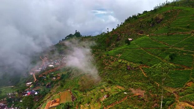 Aerial view of tea plantations on misty hills Sri Lanka.