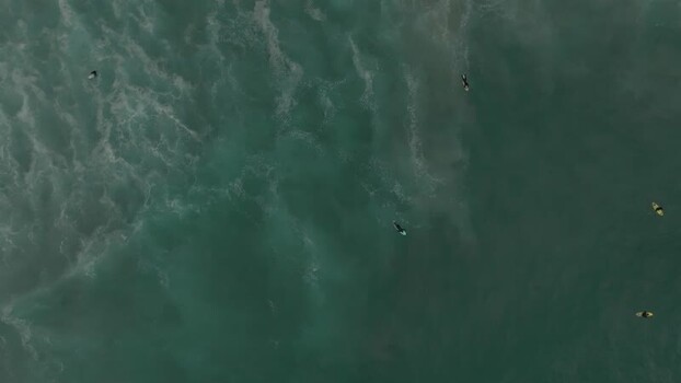 Aerial view of surfers in the water at La Jolla Cove United States.