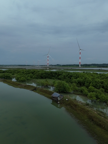 Aerial view of Khurushkul wind power plant with tall turbines rising above lush mangrove forests and calm water channels in Cox s Bazar Chittagong Division Bangladesh. Aerial view of Khurushkul wind power plant with tall turbines rising above lush mangrove forests and calm water channels in Cox s Bazar Chittagong Division Bangladesh.