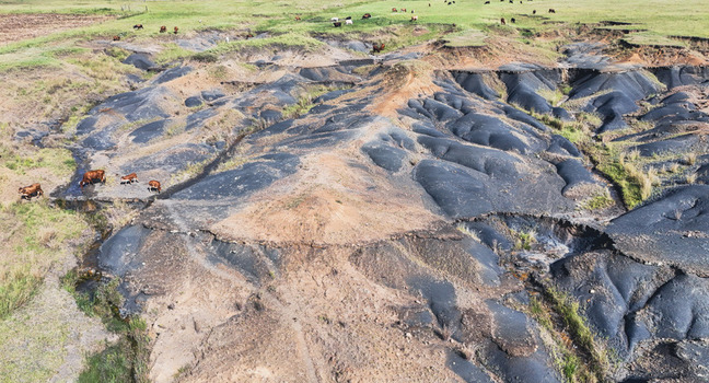 Aerial view of cattle grazing near deep soil erosion gullies and dark earth mounds in a rural landscape near Pietermaritzburg KwaZulu Natal South Africa.