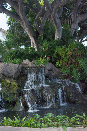 View of a small waterfall cascading over mossy rocks surrounded by lush tropical foliage and large tree branches in Maui County Hawaii United States.