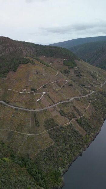 Aerial view of hillside vineyard Spain. Aerial view of hillside vineyard Spain.