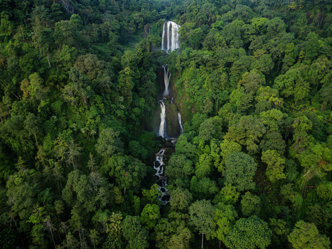 Aerial view of Curug Telu waterfall cascading through lush tropical rainforest with dense green trees and rocky cliffs Kendal Central Java Indonesia. Aerial view of Curug Telu waterfall cascading through lush tropical rainforest with dense green trees and rocky cliffs Kendal Central Java Indonesia.