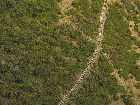 Aerial view of a narrow stone staircase winding diagonally across a steep green mountain hillside covered with dense shrubs and grass in France.