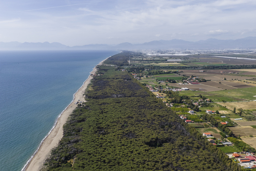 Aerial view of the sandy coastline and dense pine forest bordering agricultural fields and rural houses under a clear sky Paestum Campania Italy.