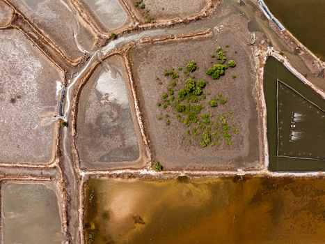 Aerial view of salt pans and aquaculture ponds with geometric shapes and a patch of green vegetation in Vietnam. Aerial view of salt pans and aquaculture ponds with geometric shapes and a patch of green vegetation in Vietnam.