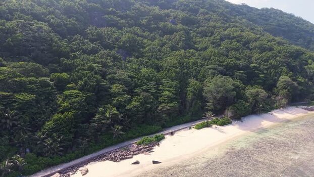 Aerial view of Anse Reunion beach Seychelles.