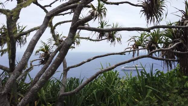 View of a cruise ship through tropical trees Pitcairn Islands.