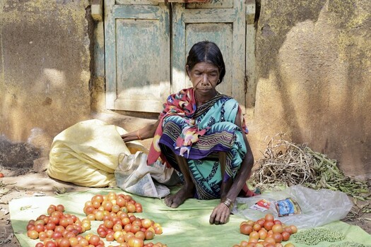 Odisha India 26 March 2026 View of a woman in a vibrant sari sits on the ground surrounded by piles of ripe red tomatoes against a textured wall. Odisha India 26 March 2026 View of a woman in a vibrant sari sits on the ground surrounded by piles of ripe red tomatoes against a textured wall.