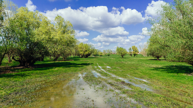 Aerial view of a lush vibrant meadow reflecting the sky framed by trees under a sky dotted with clouds Kovilj Vojvodina Serbia. Aerial view of a lush vibrant meadow reflecting the sky framed by trees under a sky dotted with clouds Kovilj Vojvodina Serbia.