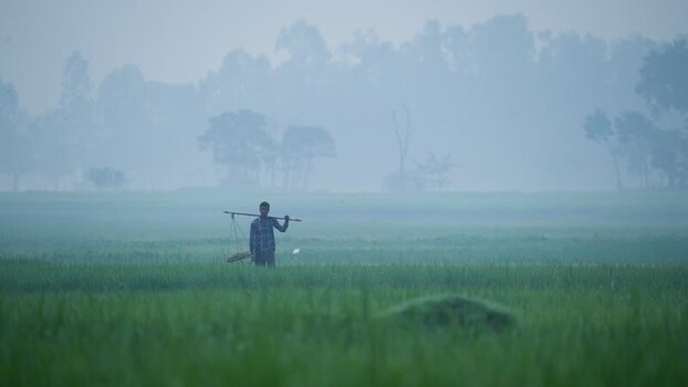 View of a farmer carrying a yoke across a misty field Bangladesh.