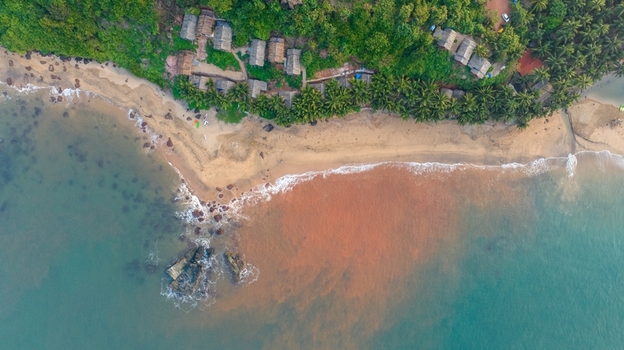 Aerial view of Cola Beach featuring a sandy shoreline lush palm trees small huts nestled in the greenery and turquoise waters meeting the coast in Kola Goa India. Aerial view of Cola Beach featuring a sandy shoreline lush palm trees small huts nestled in the greenery and turquoise waters meeting the coast in Kola Goa India.