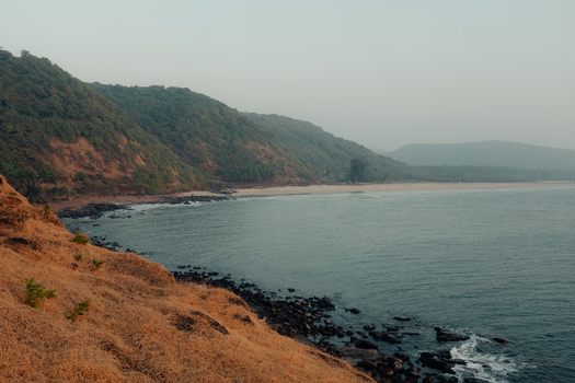View of golden grasses meet the sea s edge rolling hills touched by the sun in a serene coastal vista Chiplun Maharashtra India. View of golden grasses meet the sea s edge rolling hills touched by the sun in a serene coastal vista Chiplun Maharashtra India.