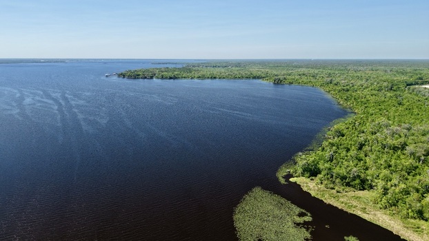 Aerial view of the dark waters meeting lush green shores along Palmo Fish Camp Road St. Augustine Florida United States. Aerial view of the dark waters meeting lush green shores along Palmo Fish Camp Road St. Augustine Florida United States.