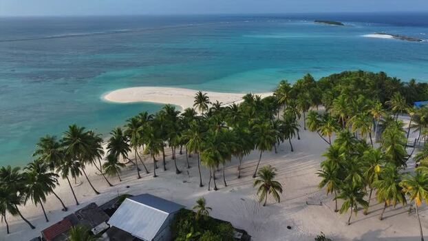 Aerial view of a tropical island with palm trees Maldives. Aerial view of a tropical island with palm trees Maldives.