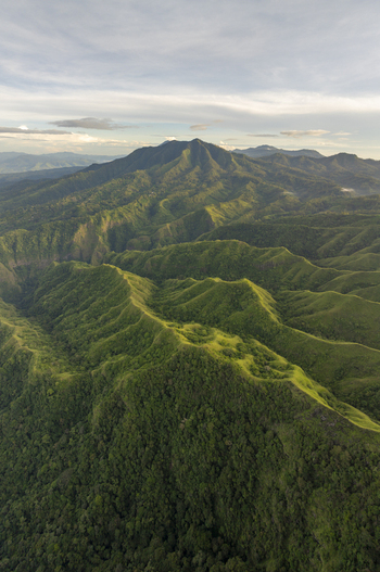 Aerial view of Avatar Hill Watu Nari Wowo featuring lush green rolling hills and dense tropical forest under a soft sky in Bajawa East Nusa Tenggara Indonesia.