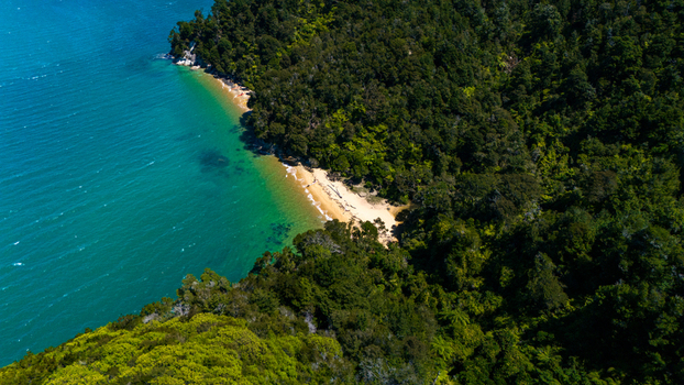 Aerial view of golden sands meet the turquoise sea embraced by lush green forests along the coastline Abel Tasman National Park New Zealand. Aerial view of golden sands meet the turquoise sea embraced by lush green forests along the coastline Abel Tasman National Park New Zealand.