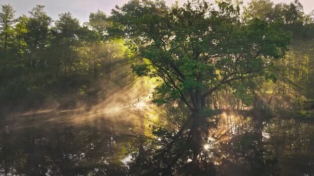Aerial view of Venekotensee lake with sun rays Germany.