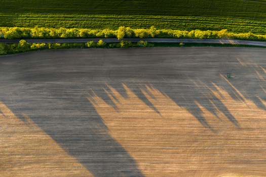Aerial view of agricultural fields with long tree shadows on plowed soil and a green meadow separated by a rural road Chvalkovice Hradec Kralove Region Czechia.