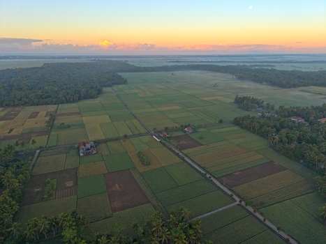 Aerial view of lush green rice paddies and agricultural fields at golden hour in Kutoarjo Central Java Indonesia. Aerial view of lush green rice paddies and agricultural fields at golden hour in Kutoarjo Central Java Indonesia.