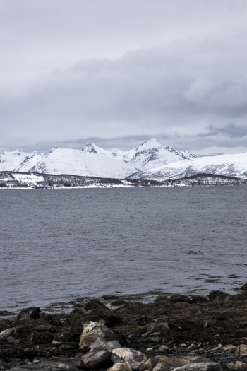 View of snow capped mountains across the fjord with a rocky shoreline under a cloudy sky Tromso Troms Norway.